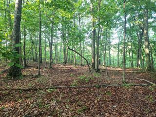 0 Ridge Road, Evington, VA 24550