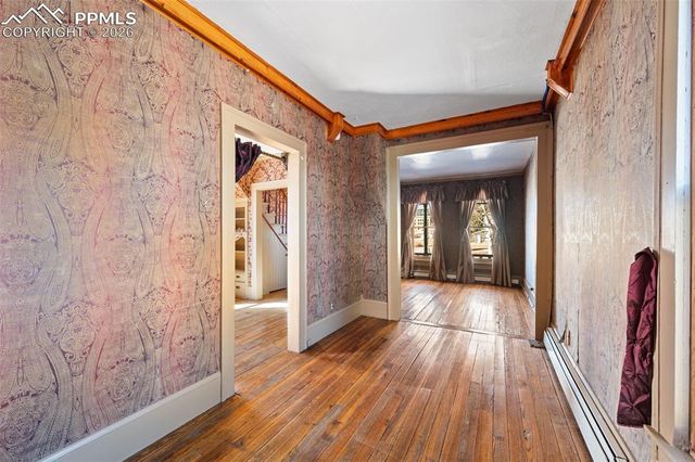 310 E Whiting Avenue, Cripple Creek, CO 80813