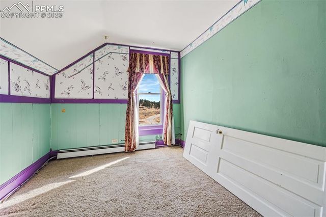 310 E Whiting Avenue, Cripple Creek, CO 80813