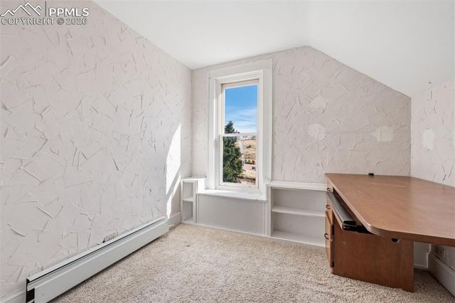 310 E Whiting Avenue, Cripple Creek, CO 80813