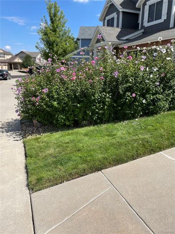 11580 Terrawood Court, Parker, CO 80134