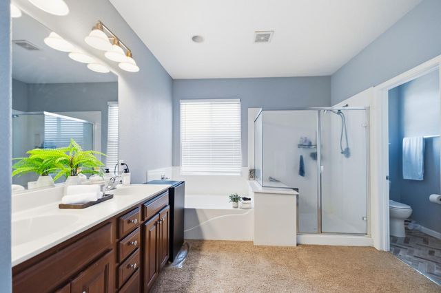 337 Scrub Oak Dr, Lathrop, CA 95330