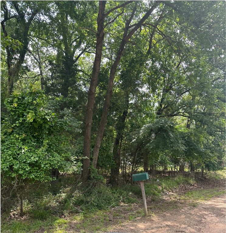 0 Hickory Street, Mabank, TX 75156