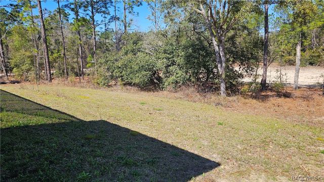 1933 W Union Street, Hernando, FL 34442