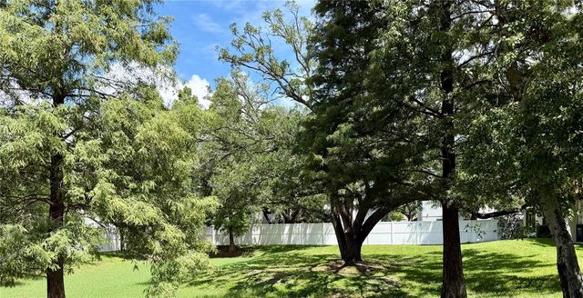 3146 BAYSHORE OAKS DRIVE, Tampa, FL 33611