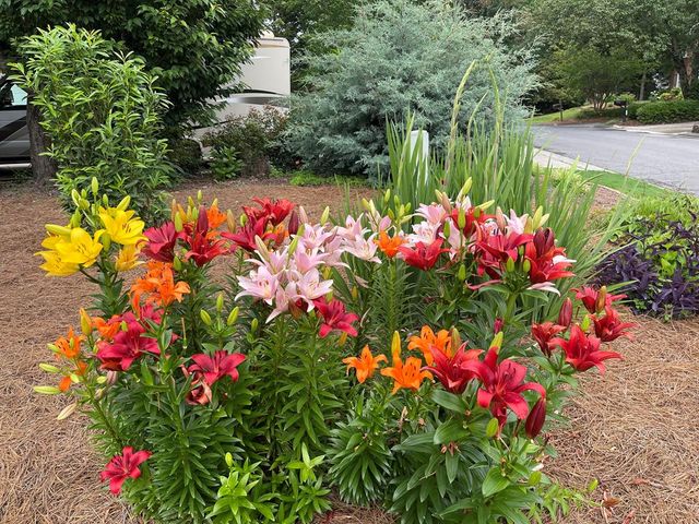 1700 NW Wellington Drive, Dalton, GA 30720