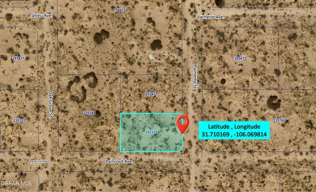 PN-291526 Palmetto Drive, El Paso, TX 79928