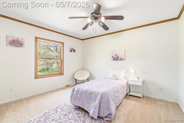 20650 Sherwood Road, Belleville, MI 48111