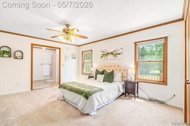 20650 Sherwood Road, Belleville, MI 48111