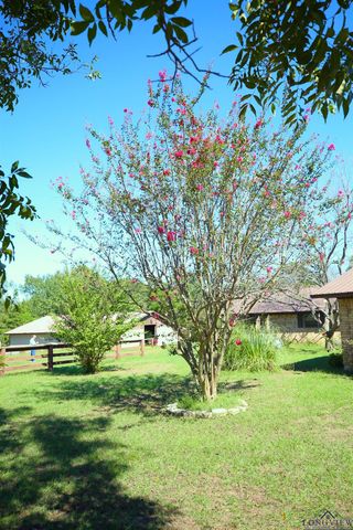 195 CR 1772, Jefferson, TX 75657