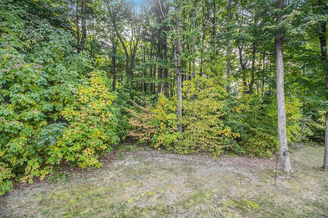 220 Parkview Drive, Paradise Twp, MI 49649