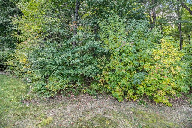 220 Parkview Drive, Paradise Twp, MI 49649