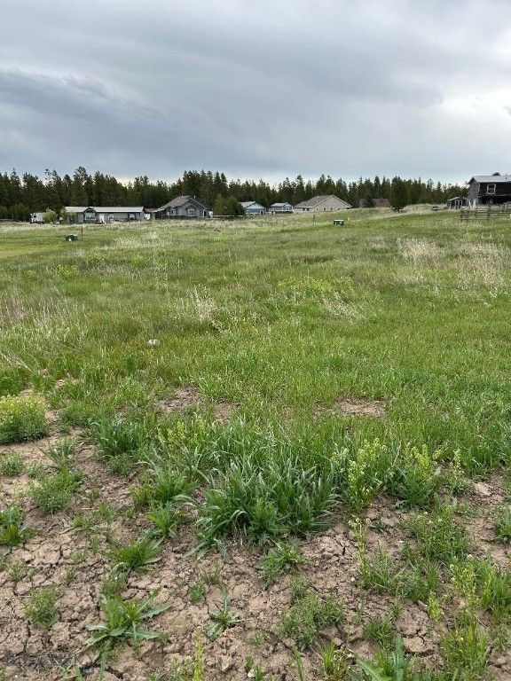 TBD Buffalo Drive, West Yellowstone, MT 59758 photo 3