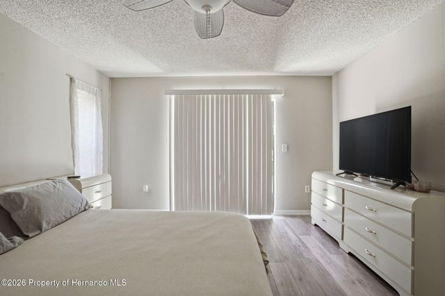 13032 Lola Drive, Spring Hill, FL 34608