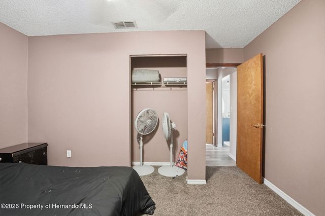 13032 Lola Drive, Spring Hill, FL 34608