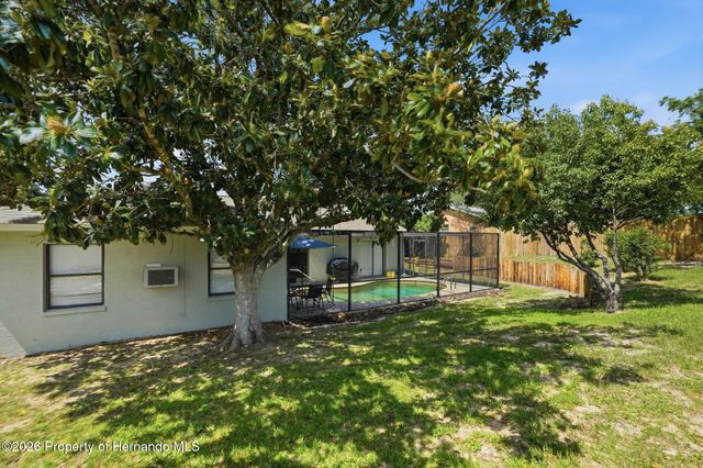13032 Lola Drive, Spring Hill, FL 34608