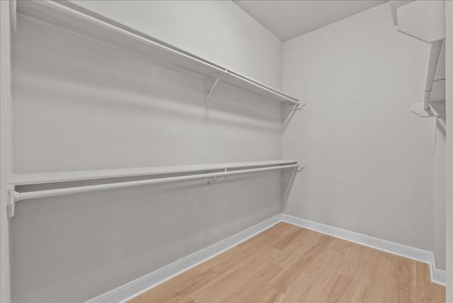 1806 Winter Knoll Way, Houston, TX 77062