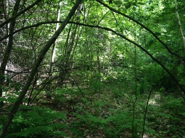 0 Elm St, Leominster, MA 01453