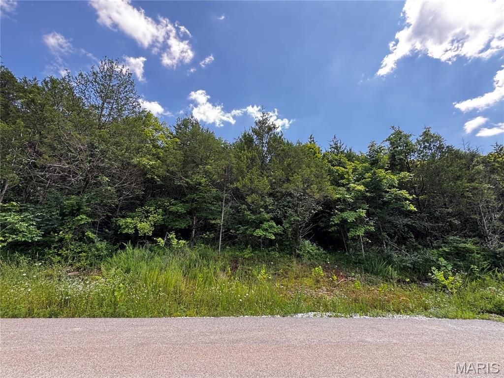 5656 Eagles Valley W, House Springs, MO 63051