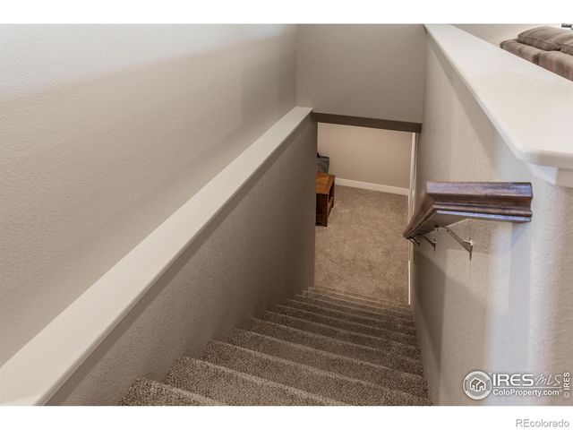 7157 Rye Grass Drive, Wellington, CO 80549