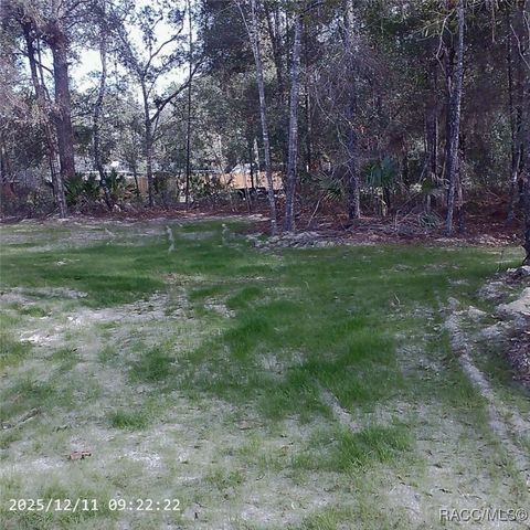 10215 W Ohio Drive, Crystal River, FL 34428