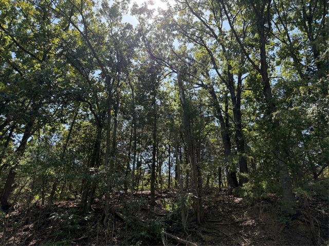 2008 S Lang Avenue, Denison, TX 75020