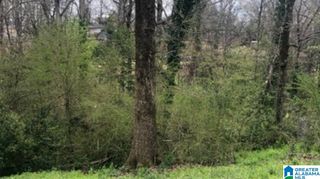 305 DUNBAR COURT, Birmingham, AL 35214
