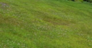 4966 US Route 5, Barnet, VT 05051