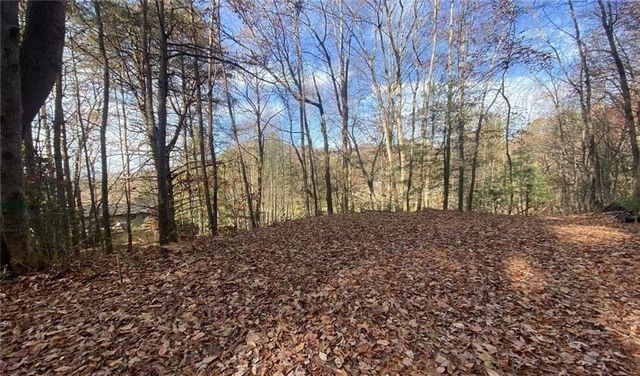 1 BAREFOOT HILLS, Hiawassee, GA 30546