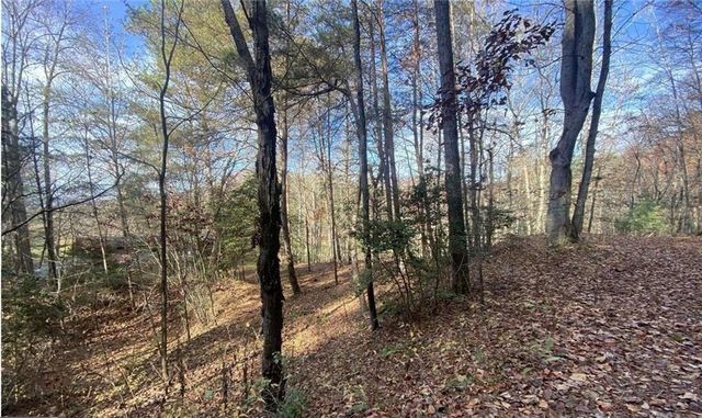 1 BAREFOOT HILLS, Hiawassee, GA 30546