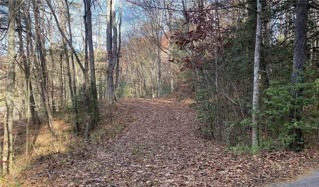 1 BAREFOOT HILLS, Hiawassee, GA 30546