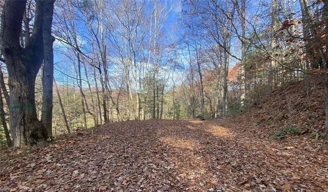 1 BAREFOOT HILLS, Hiawassee, GA 30546
