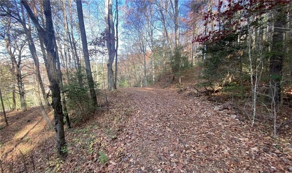 1 BAREFOOT HILLS, Hiawassee, GA 30546