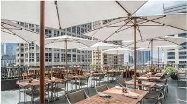 800 N Michigan Avenue 3301, Chicago, IL 60611