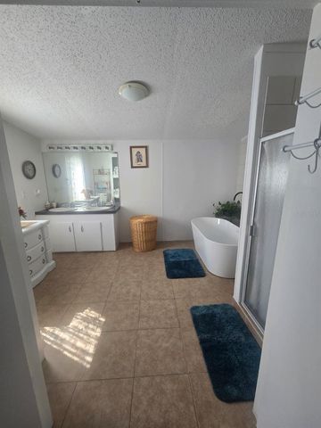 6106 MANGROVE DRIVE, Wesley Chapel, FL 33544