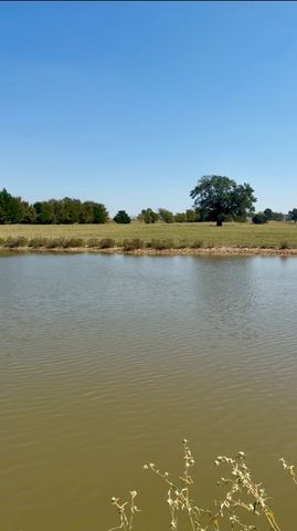 11631 Hiram Road, Wills Point, TX 75169