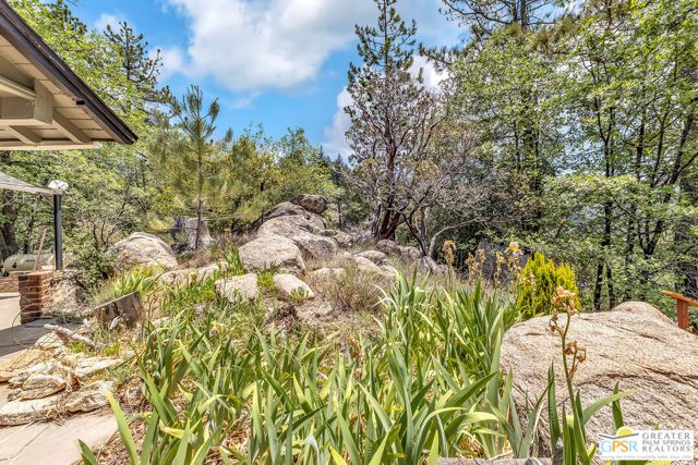 21395 Highway 243, Idyllwild, CA 92549
