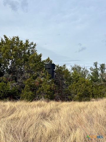 Unassigned County Road 3270, Kempner, TX 76539