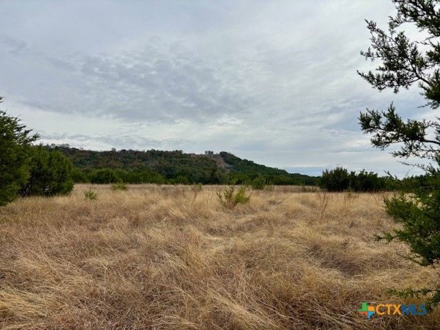 Unassigned County Road 3270, Kempner, TX 76539