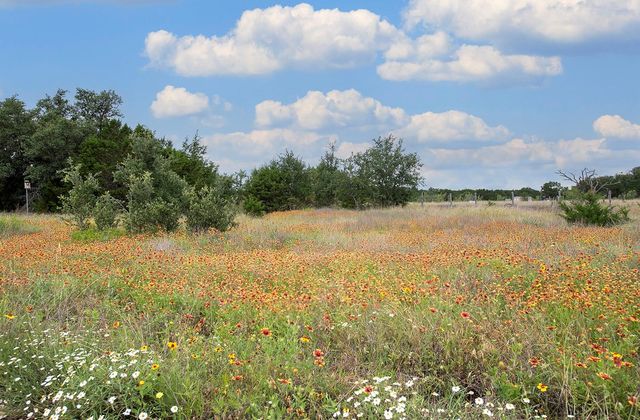 7075 RR 1869 1869, Liberty Hill, TX 78642