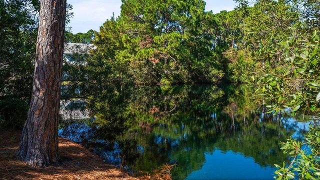 198 Somerset Bridge Road UNIT 101, Santa Rosa Beach, FL 32459