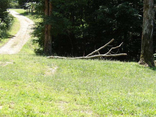 811 Powers Blvd, Waverly, TN 37185
