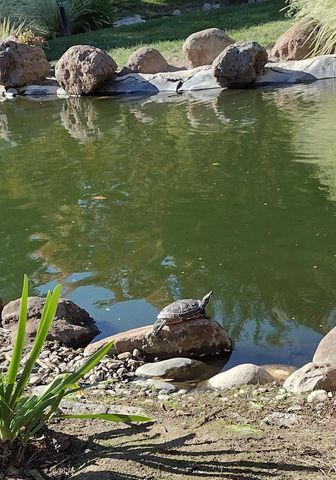 722 Woodside Lane East #3, Sacramento, CA 95825