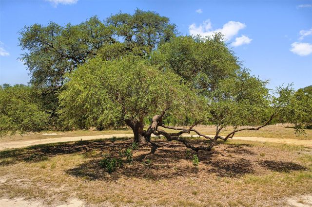 140 Lantana DR, Johnson City, TX 78636