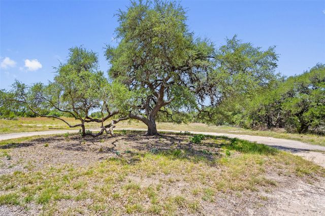 140 Lantana DR, Johnson City, TX 78636