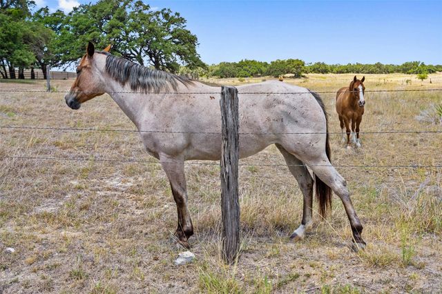 140 Lantana DR, Johnson City, TX 78636