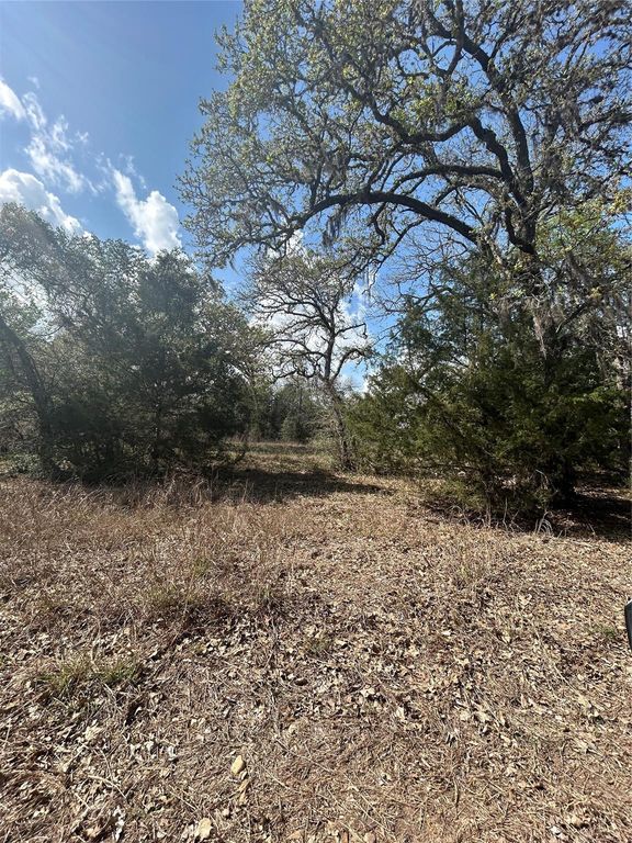 3060 Brunes Mill Road, Columbus, TX 78934