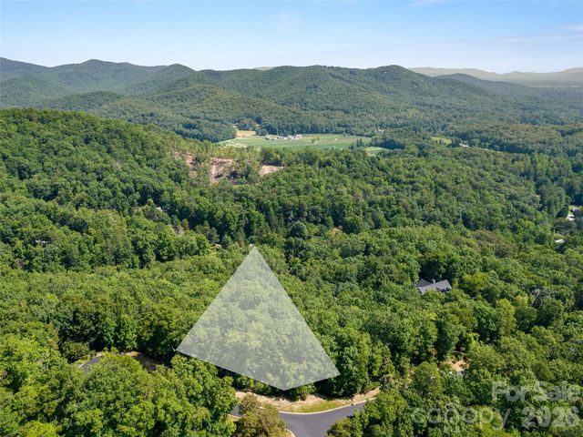 99999 Shining Rock Path 69, Horse Shoe, NC 28742