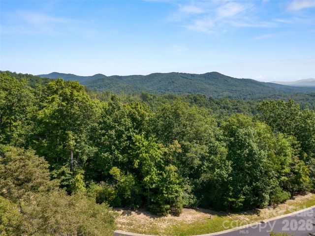 99999 Shining Rock Path 69, Horse Shoe, NC 28742