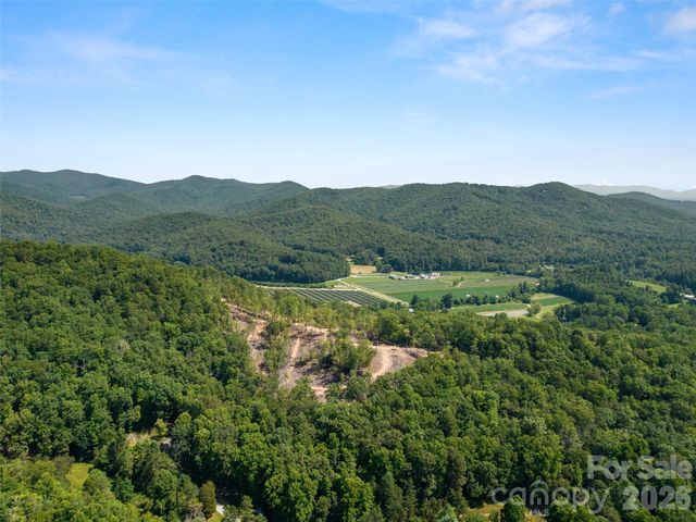 99999 Shining Rock Path 69, Horse Shoe, NC 28742